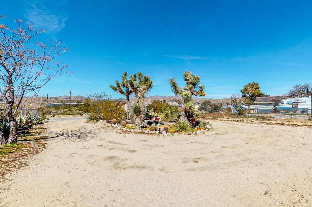 Open desert grounds with Joshua trees and mountain views