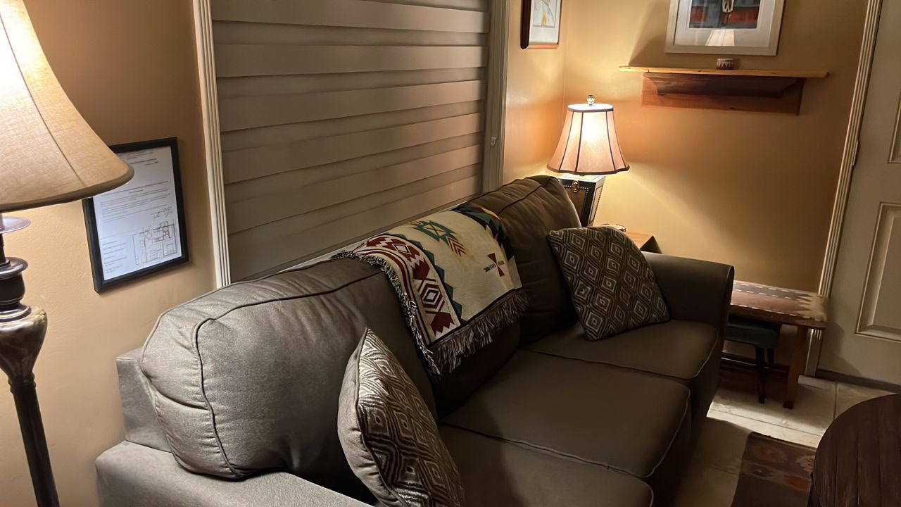 Couch in the cozy Living Room